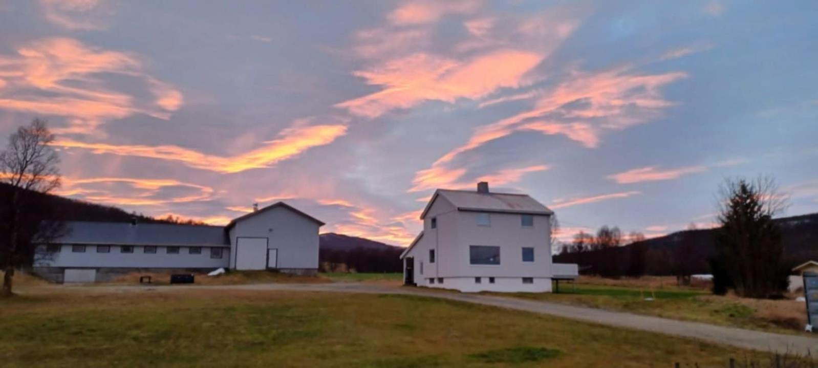 Tonsvik Enebolig Villa Tromsø Eksteriør bilde